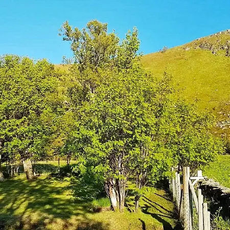 بيت للعطل Holiday Gravdal Gravdal (Vestvagoy)